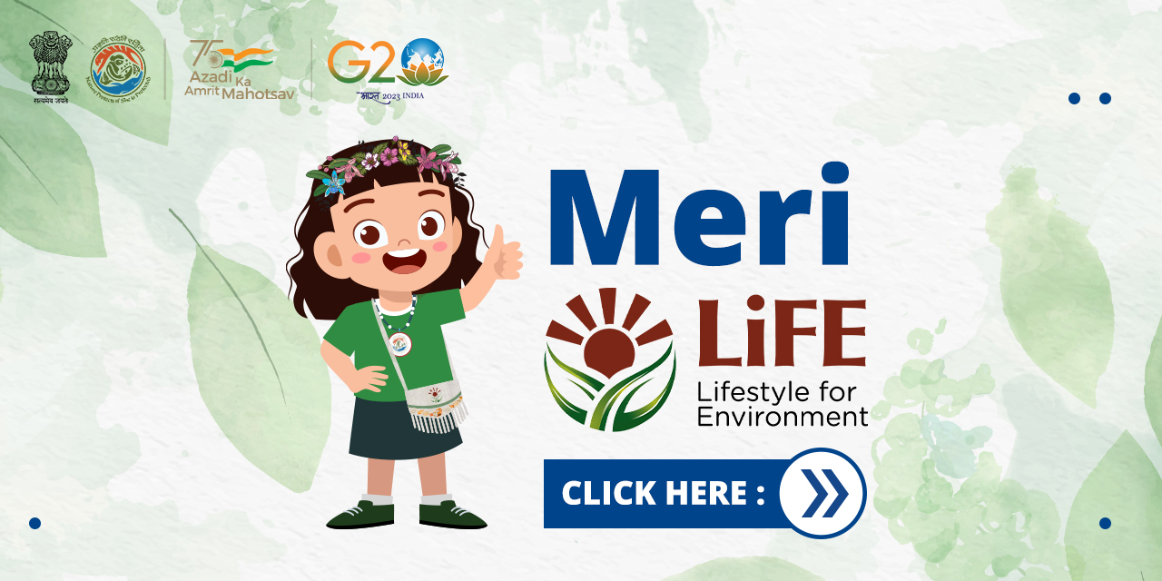 मेरी लाइफ मेरी लाइफ